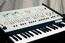 ARP Odyssey One of the great classic synths